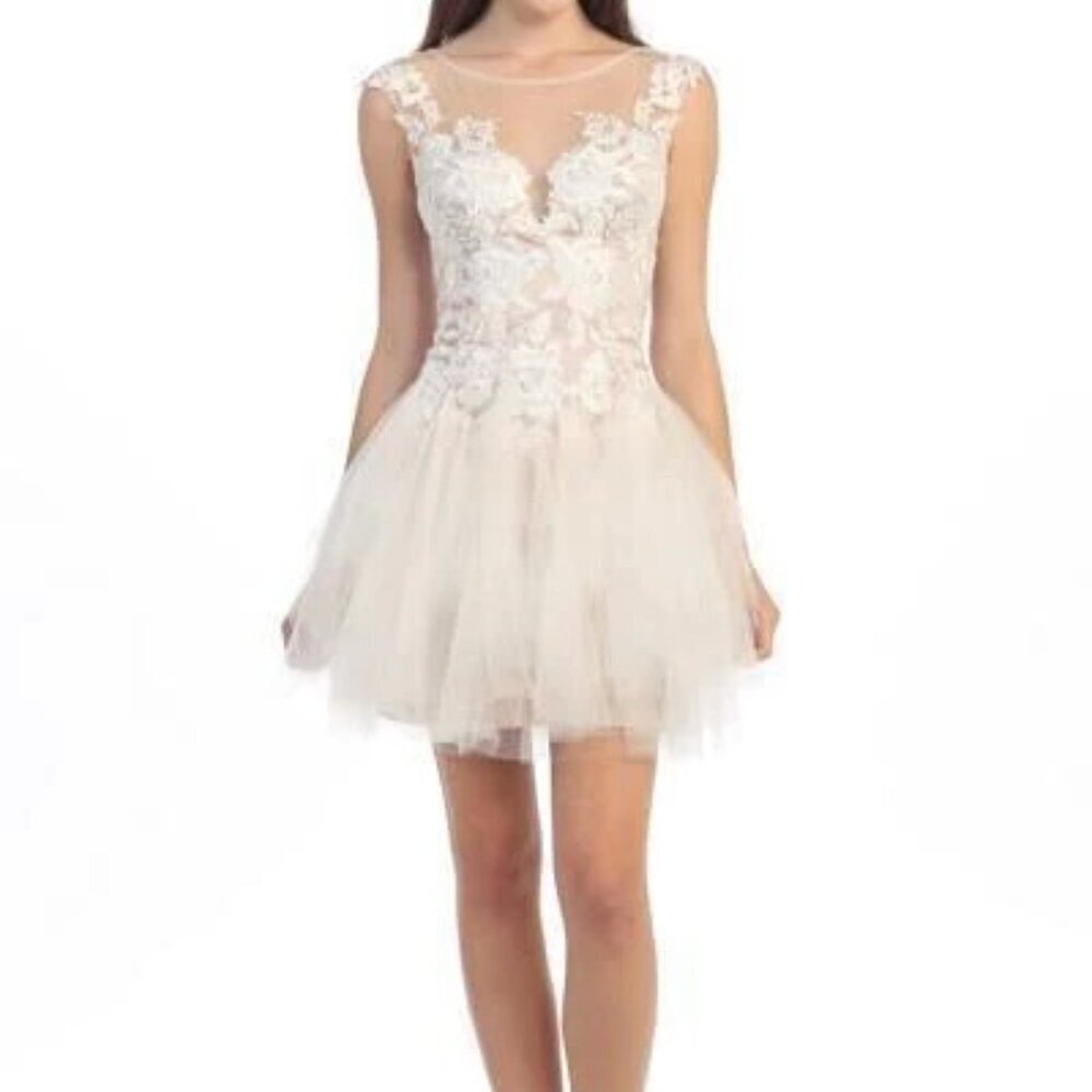 Eureka Fashion Ivory Nude Lace Embroidered Mesh A-line Dress